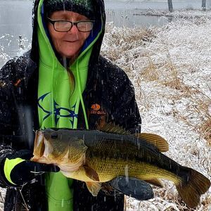 Meet your Posher, Jerrie